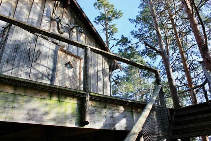 Tretopphytter Pa Grensen - Elghytta Med Robat Og Gjeddefiske 哈尔登 外观 照片